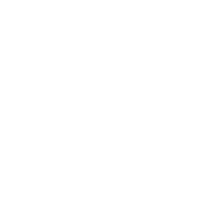 apple logo white